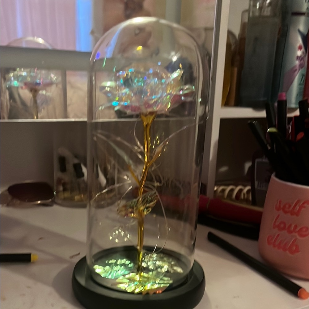 Elegant Gold and Silver Glass Dome Art